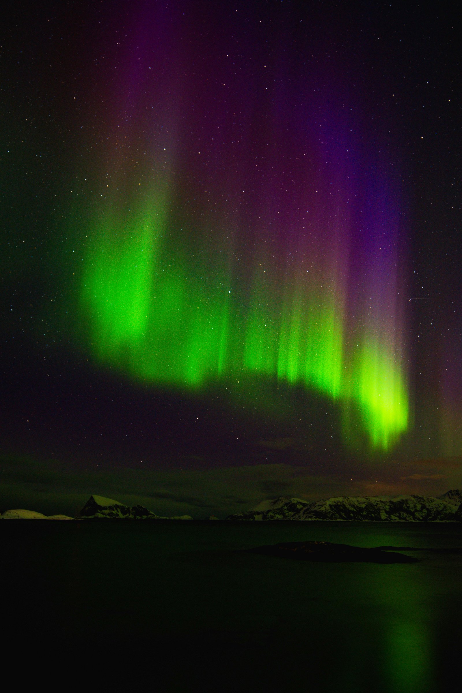 Northern lights dancing over Arctic wilderness landscape